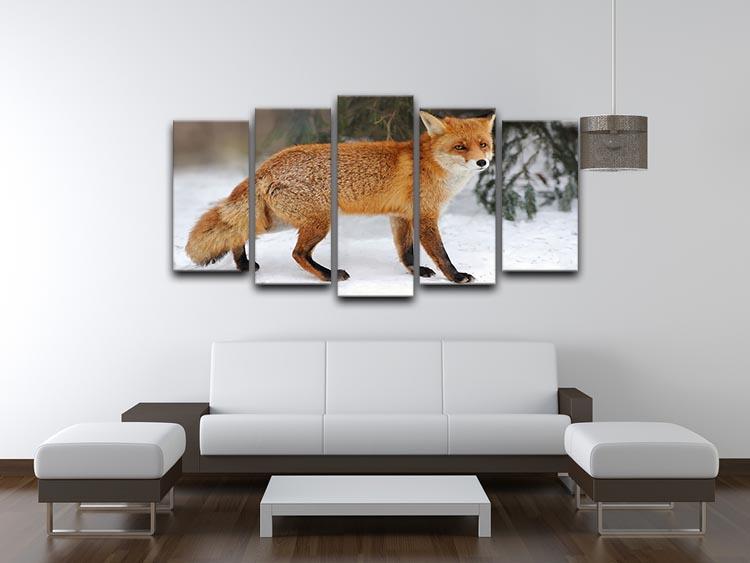 Red Fox Vulpes vulpes in winter time 5 Split Panel Canvas - Canvas Art Rocks - 3