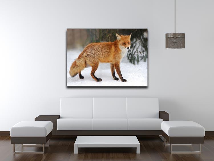 Red Fox Vulpes vulpes in winter time Canvas Print or Poster - Canvas Art Rocks - 4