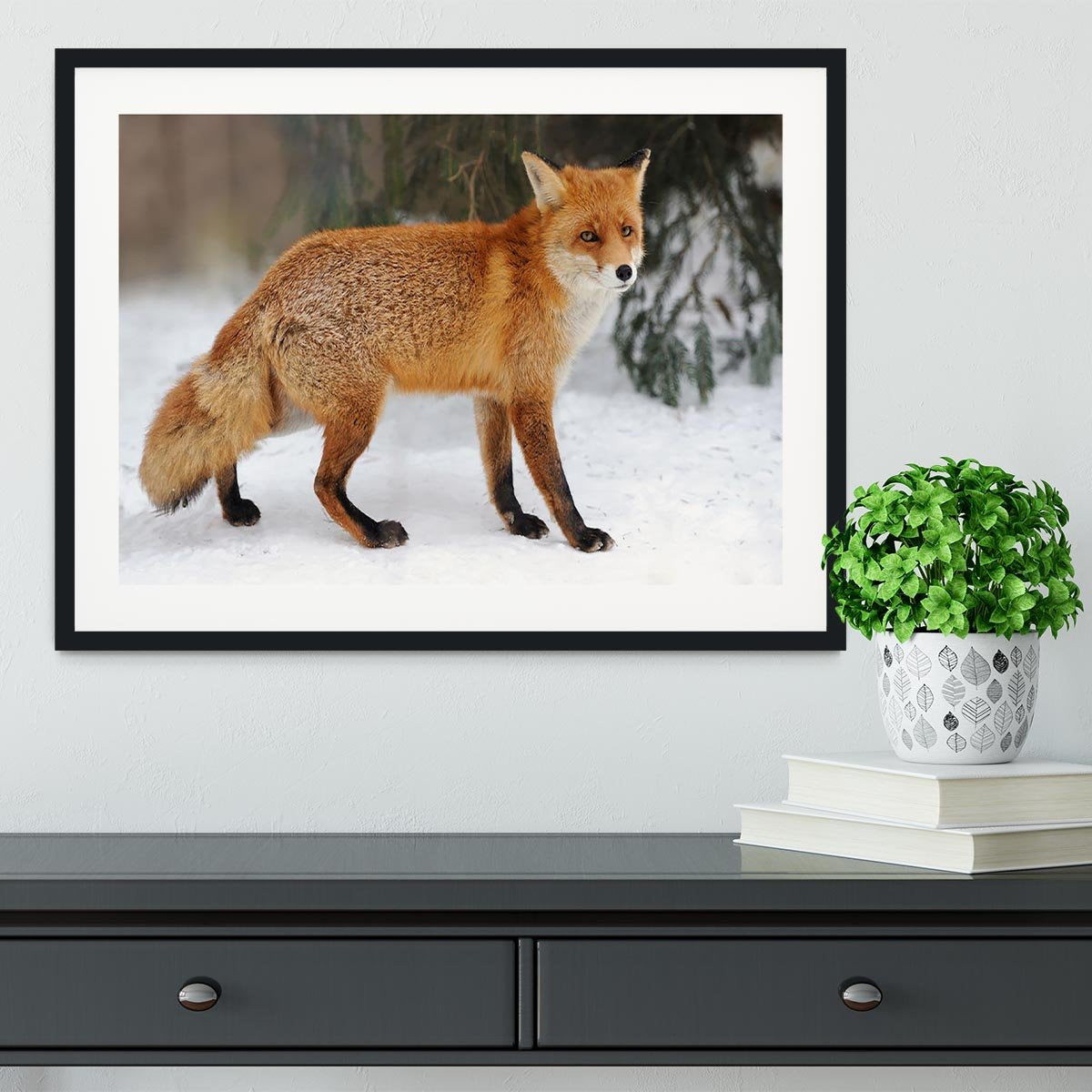 Red Fox Vulpes vulpes in winter time Framed Print - Canvas Art Rocks - 1