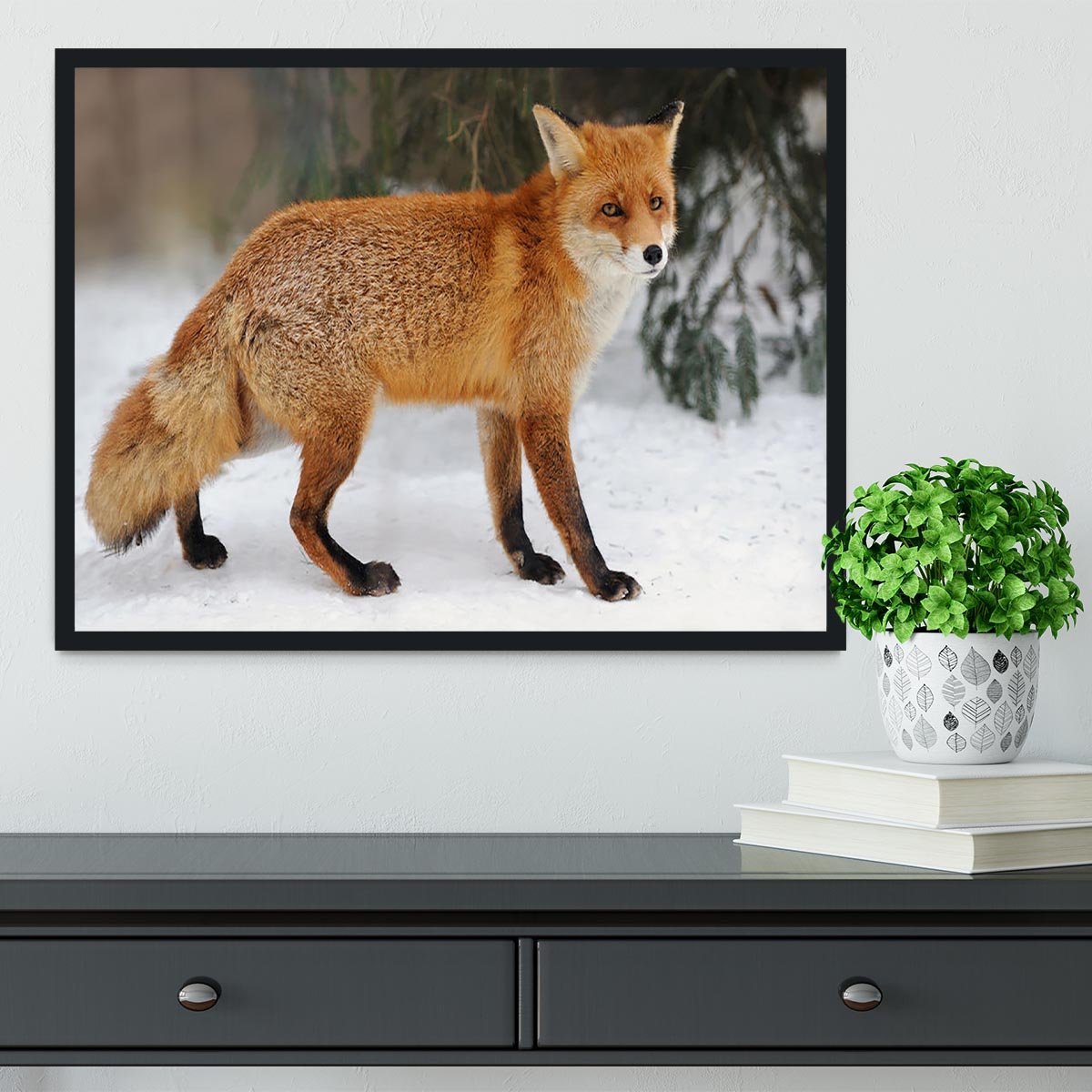 Red Fox Vulpes vulpes in winter time Framed Print - Canvas Art Rocks - 2