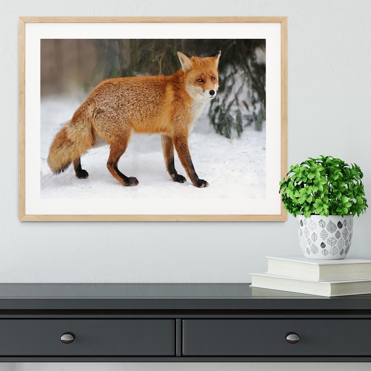 Red Fox Vulpes vulpes in winter time Framed Print - Canvas Art Rocks - 3