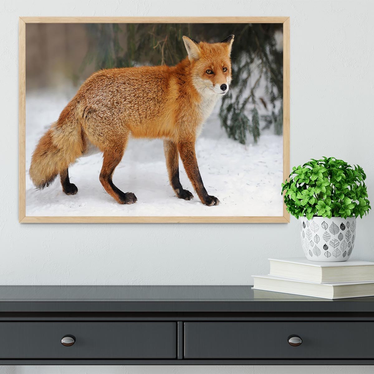 Red Fox Vulpes vulpes in winter time Framed Print - Canvas Art Rocks - 4