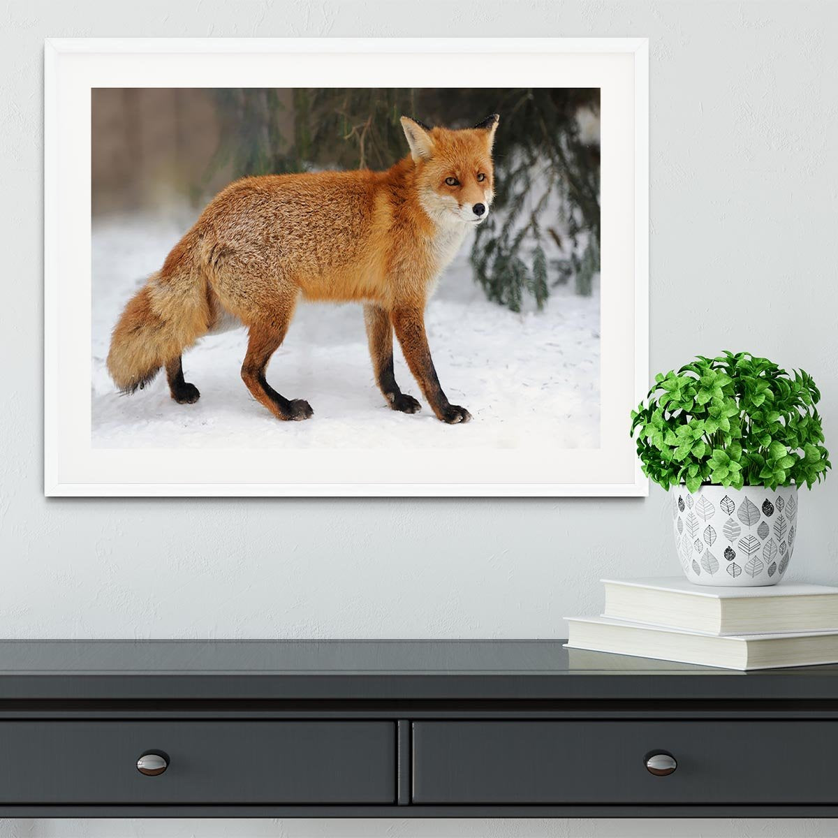 Red Fox Vulpes vulpes in winter time Framed Print - Canvas Art Rocks - 5