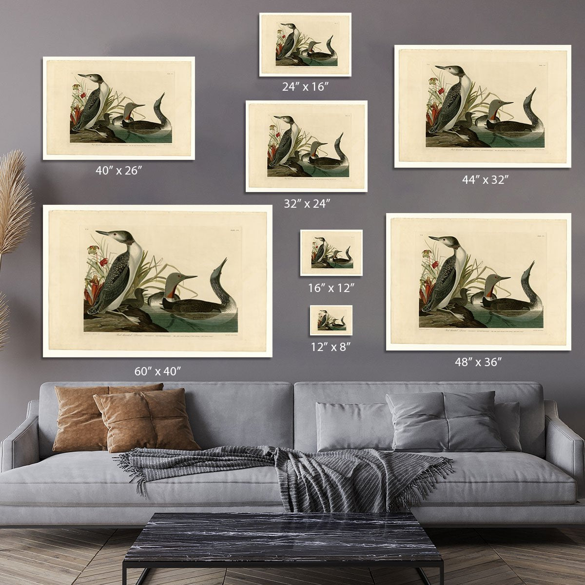 Red Throated Diver by Audubon Canvas Print or Poster