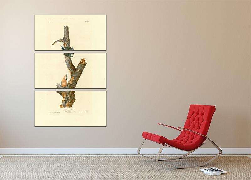 Red breasted Nuthatch by Audubon 3 Split Panel Canvas Print - Canvas Art Rocks - 2