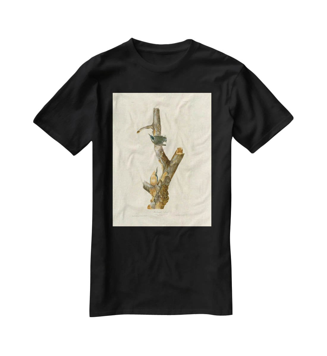 Red breasted Nuthatch by Audubon T-Shirt - Canvas Art Rocks - 1