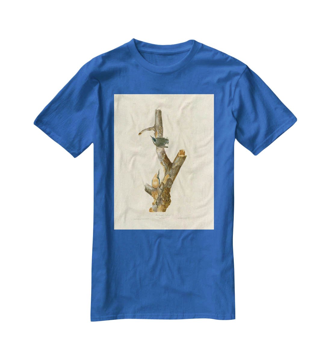 Red breasted Nuthatch by Audubon T-Shirt - Canvas Art Rocks - 2