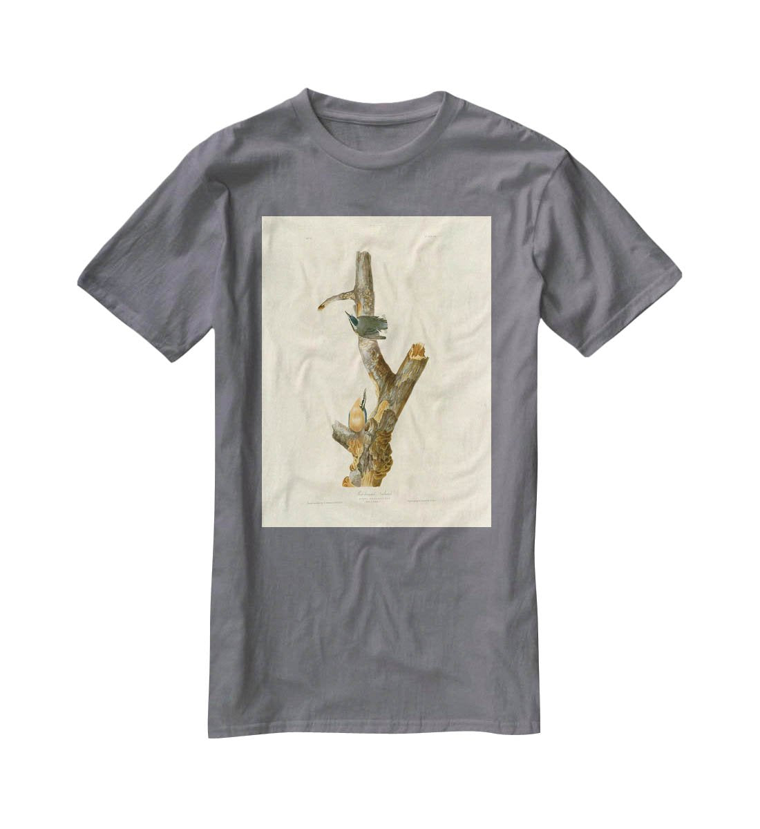 Red breasted Nuthatch by Audubon T-Shirt - Canvas Art Rocks - 3