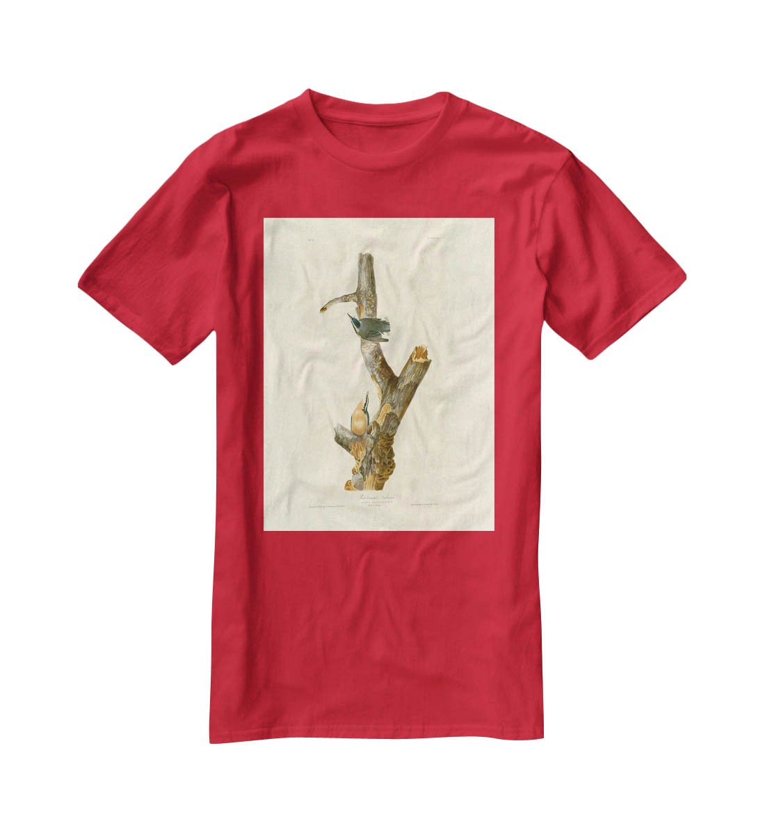 Red breasted Nuthatch by Audubon T-Shirt - Canvas Art Rocks - 4