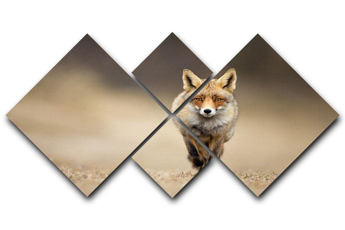 Red fox 4 Square Multi Panel Canvas - Canvas Art Rocks - 1