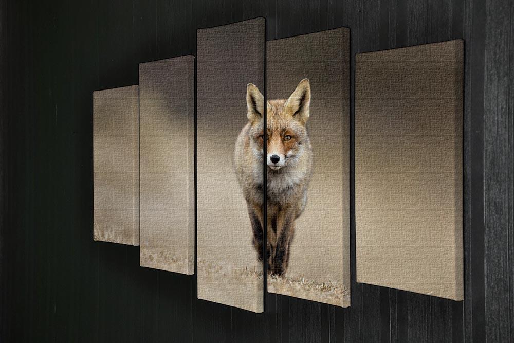Red fox 5 Split Panel Canvas - Canvas Art Rocks - 2