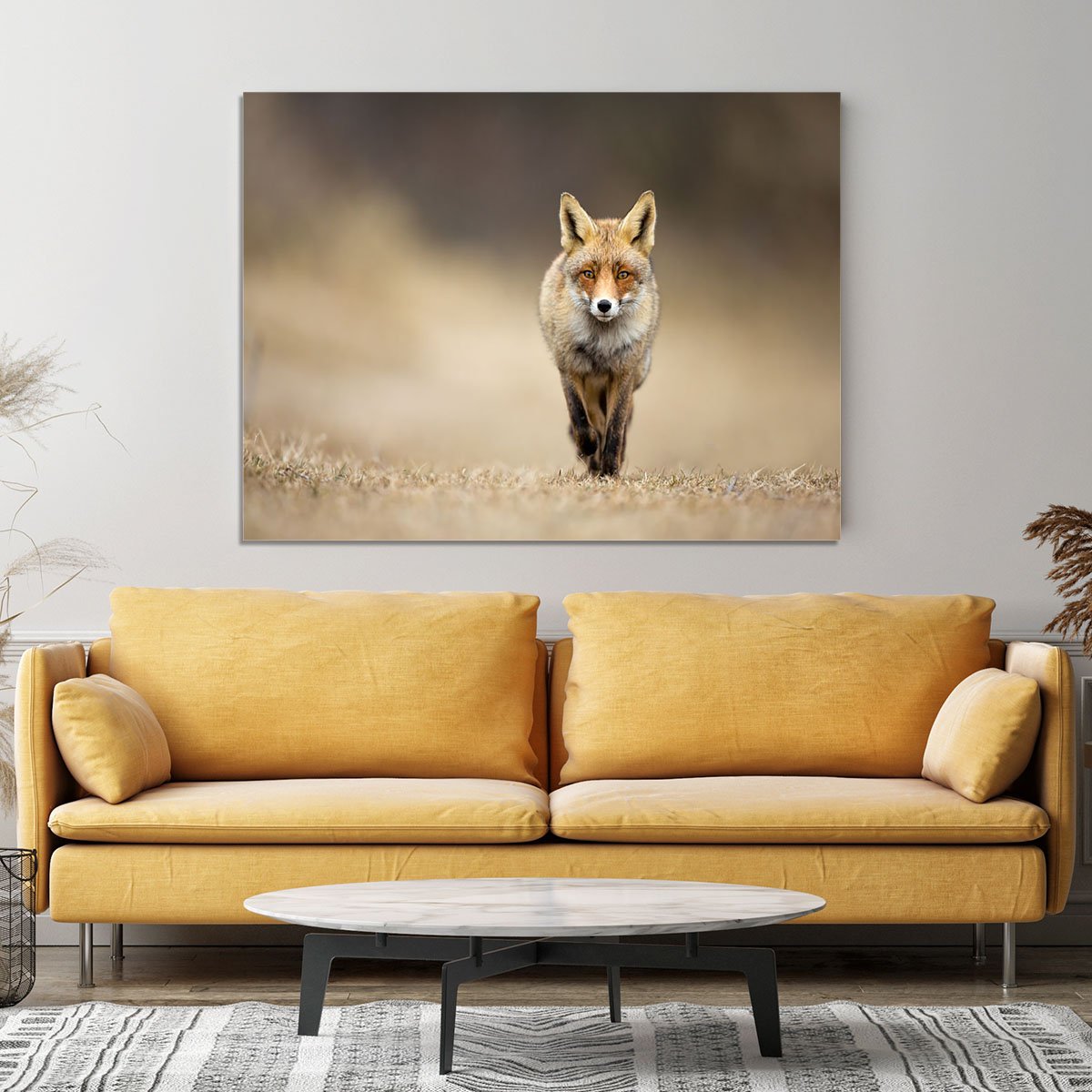 Red fox Canvas Print or Poster