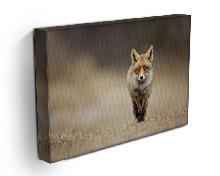 Red fox Canvas Print or Poster - Canvas Art Rocks - 3