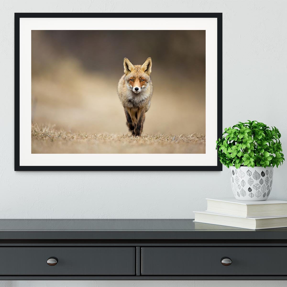 Red fox Framed Print - Canvas Art Rocks - 1