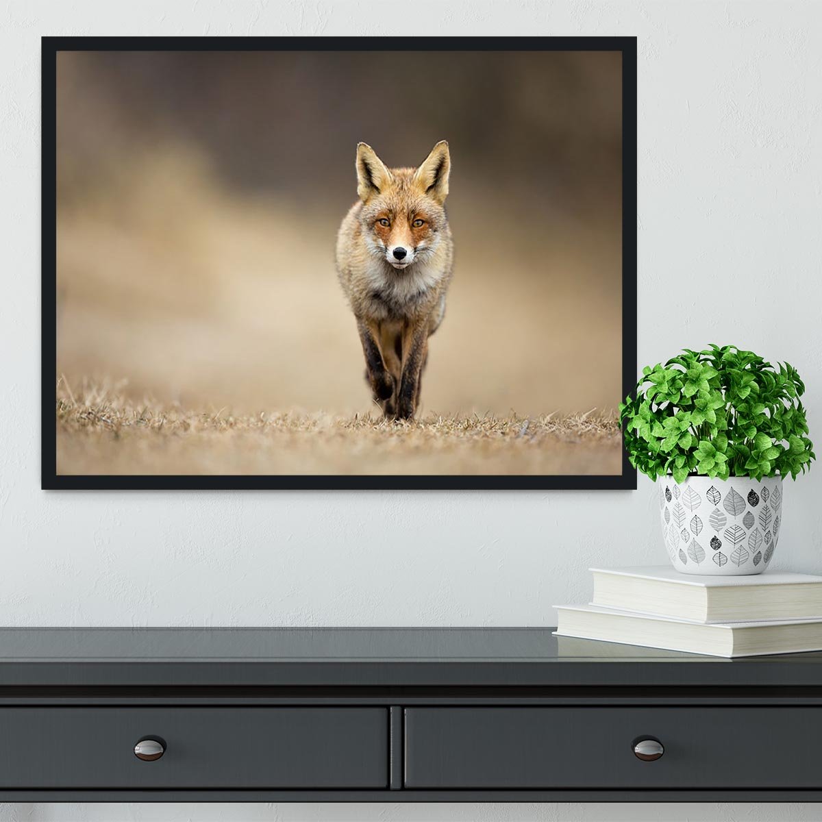 Red fox Framed Print - Canvas Art Rocks - 2