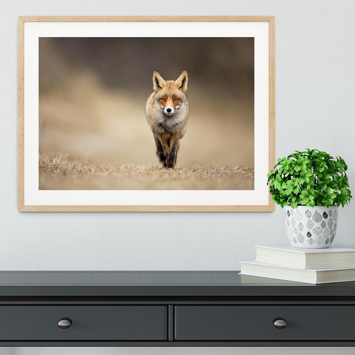 Red fox Framed Print - Canvas Art Rocks - 3