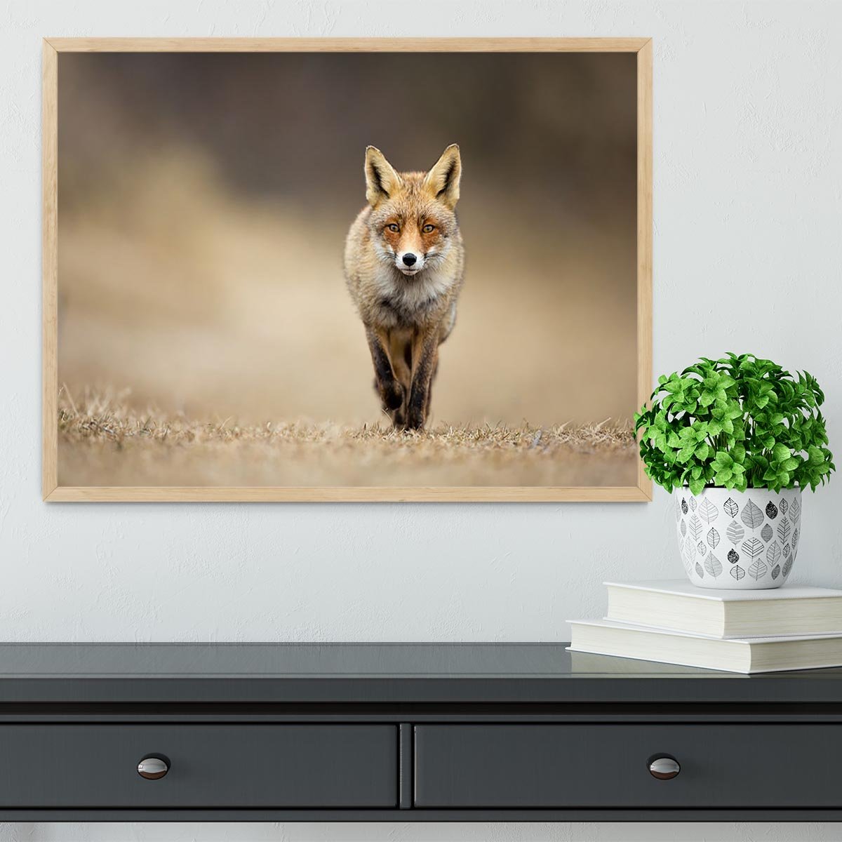 Red fox Framed Print - Canvas Art Rocks - 4