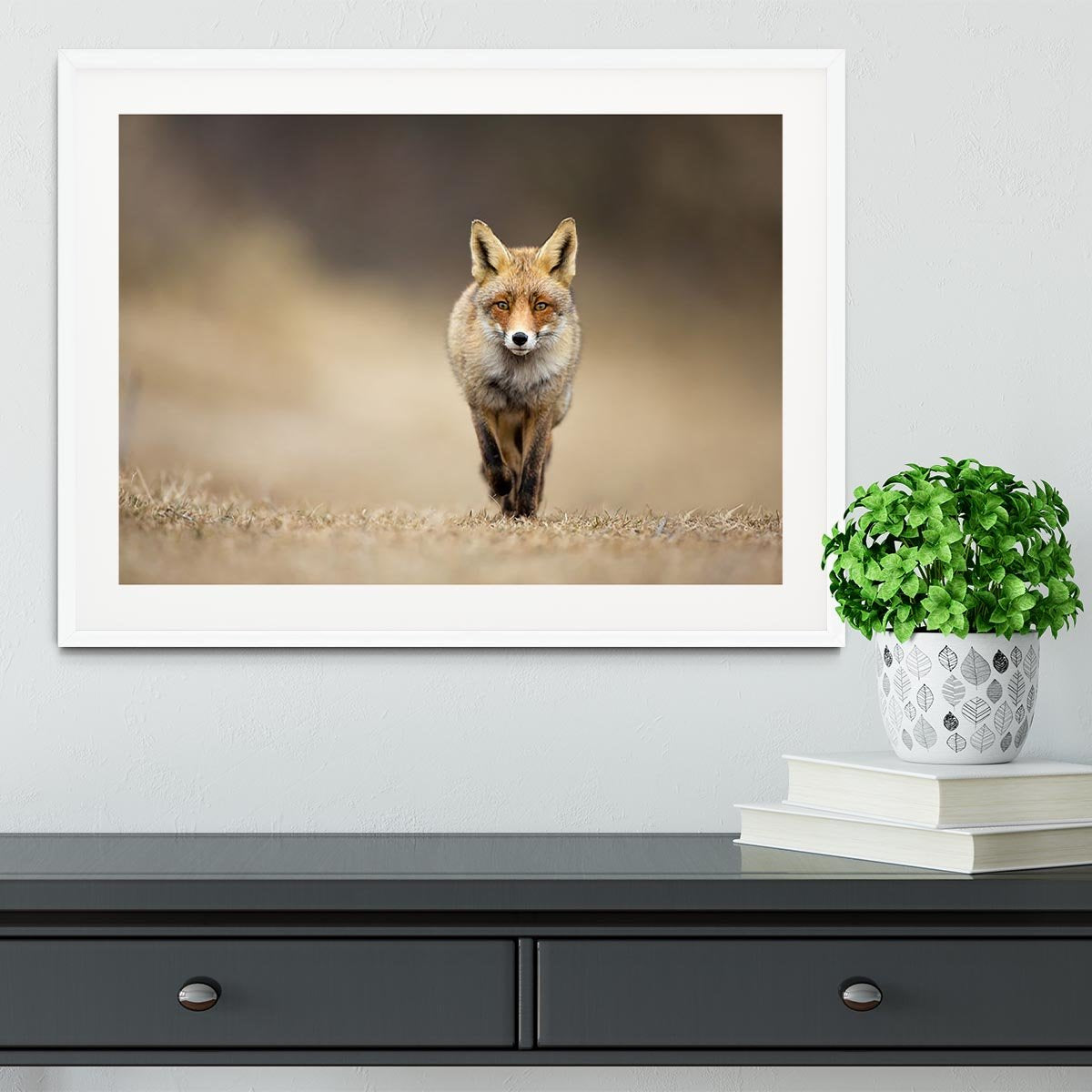 Red fox Framed Print - Canvas Art Rocks - 5