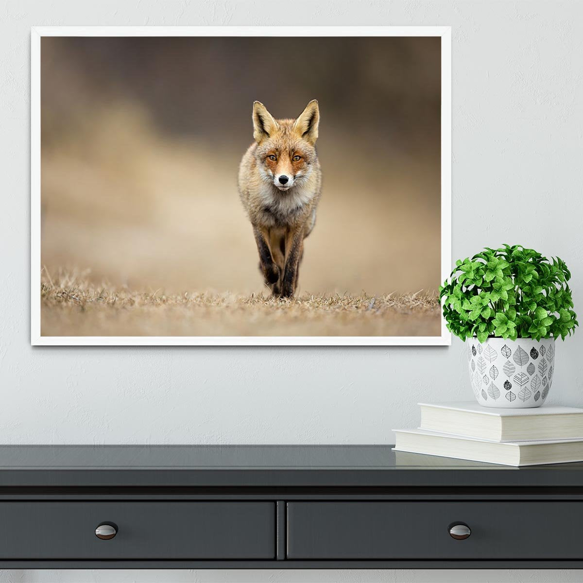 Red fox Framed Print - Canvas Art Rocks -6