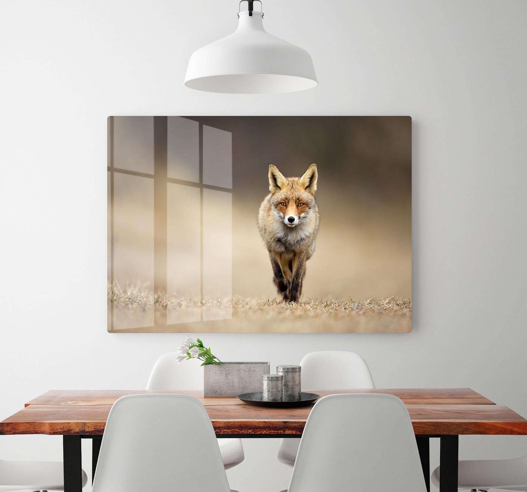 Red fox HD Metal Print - Canvas Art Rocks - 2