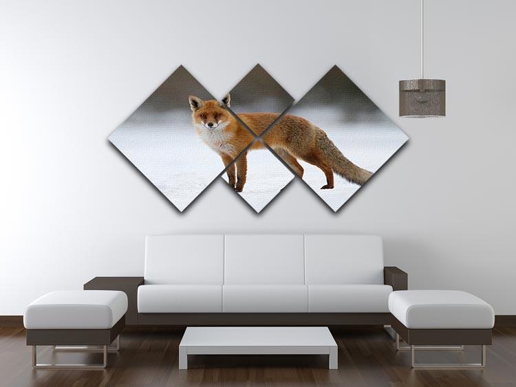 Red fox in the snow 4 Square Multi Panel Canvas - Canvas Art Rocks - 3