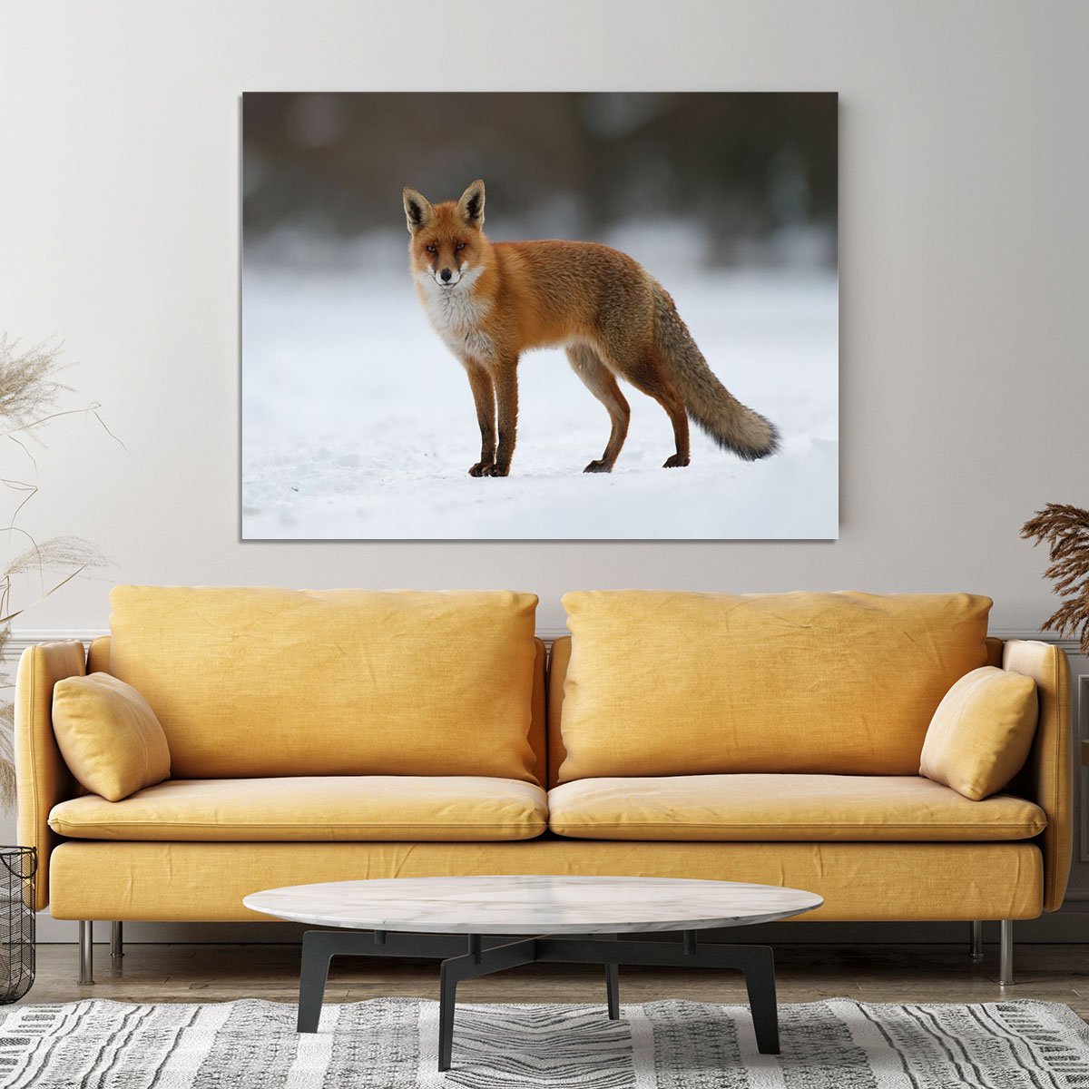 Red fox in the snow Canvas Print or Poster