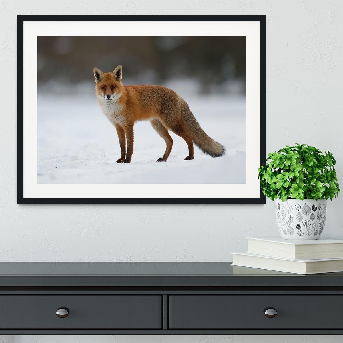 Red fox in the snow Framed Print - Canvas Art Rocks - 1