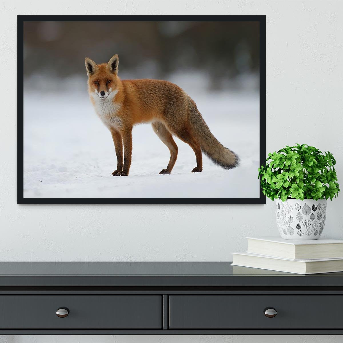 Red fox in the snow Framed Print - Canvas Art Rocks - 2