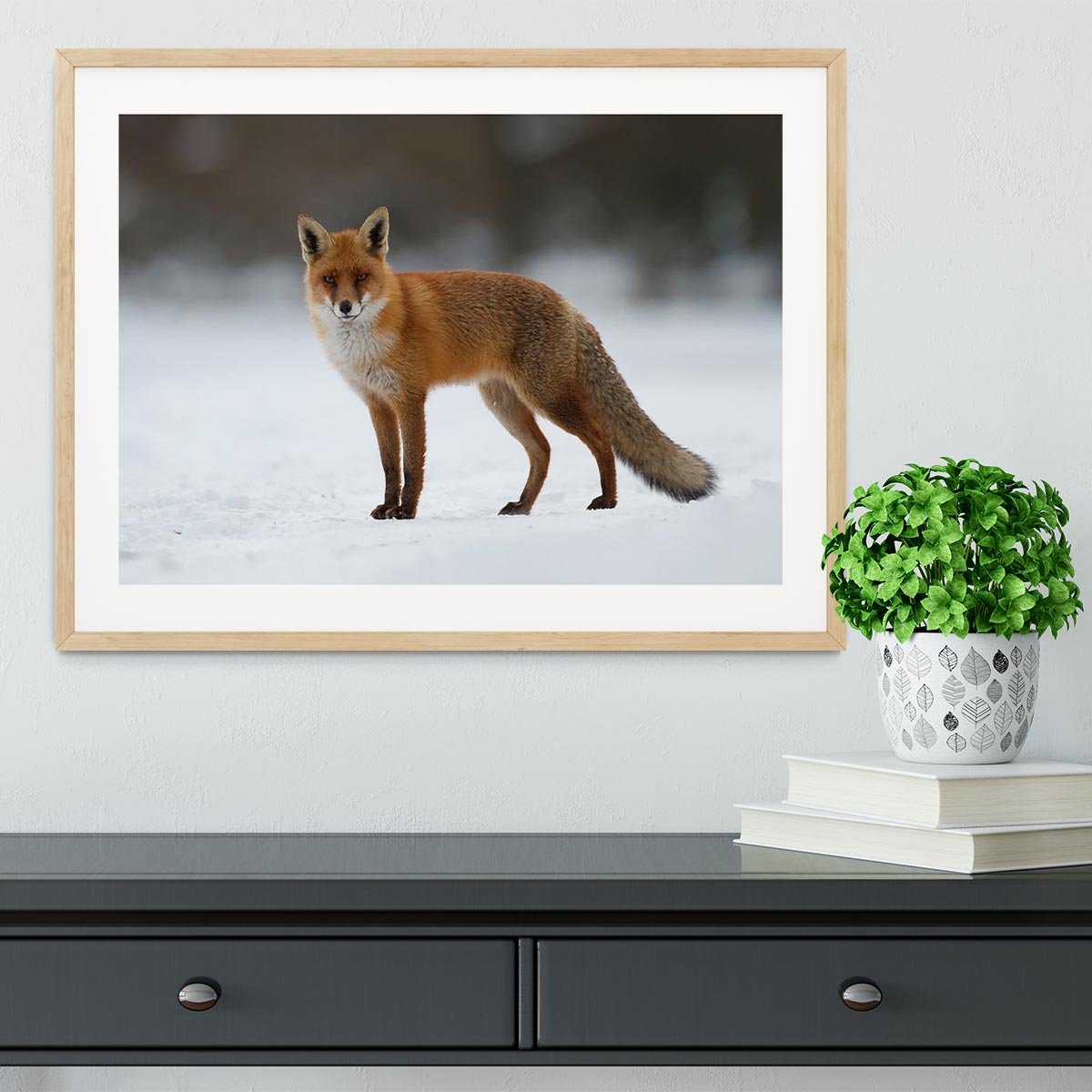 Red fox in the snow Framed Print - Canvas Art Rocks - 3