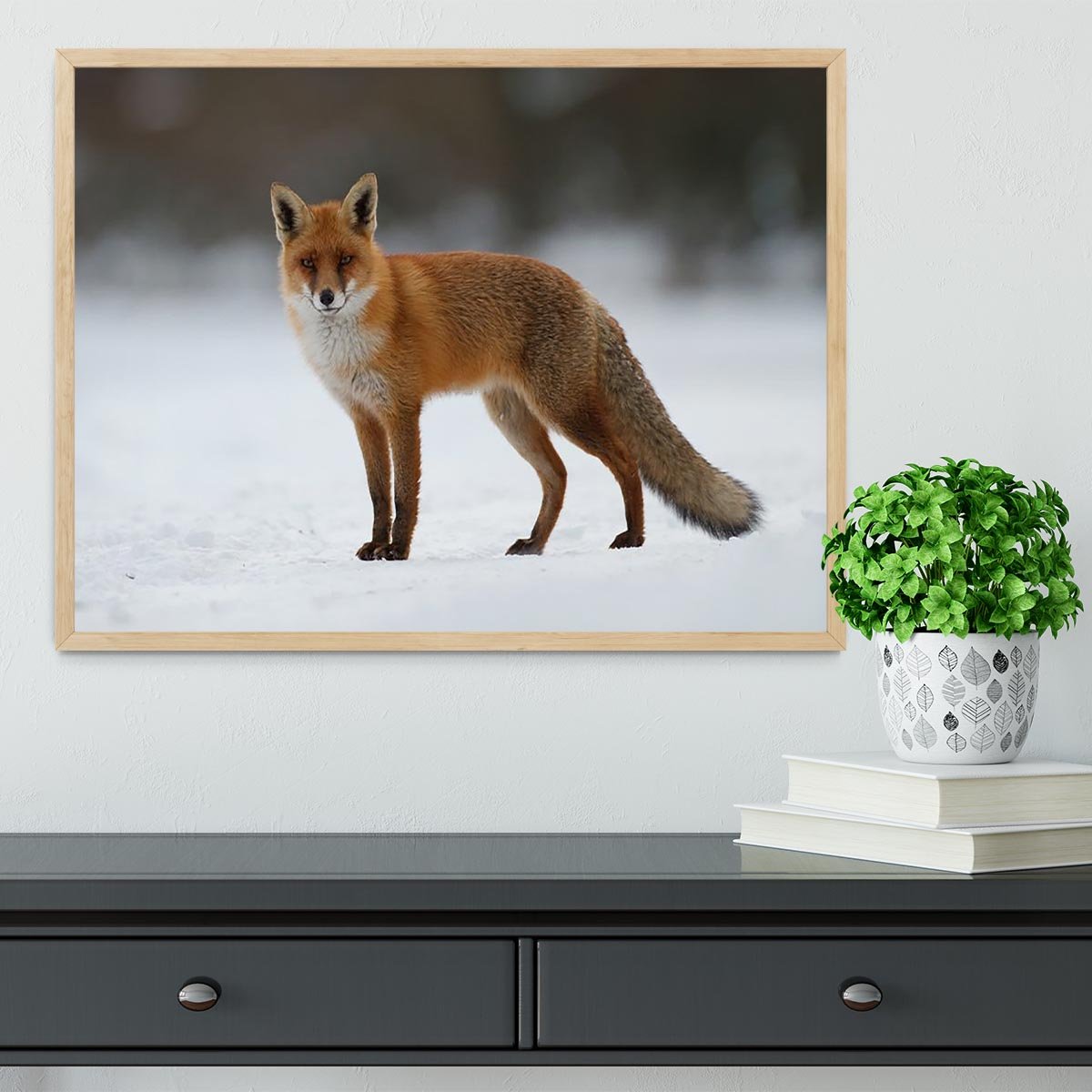 Red fox in the snow Framed Print - Canvas Art Rocks - 4