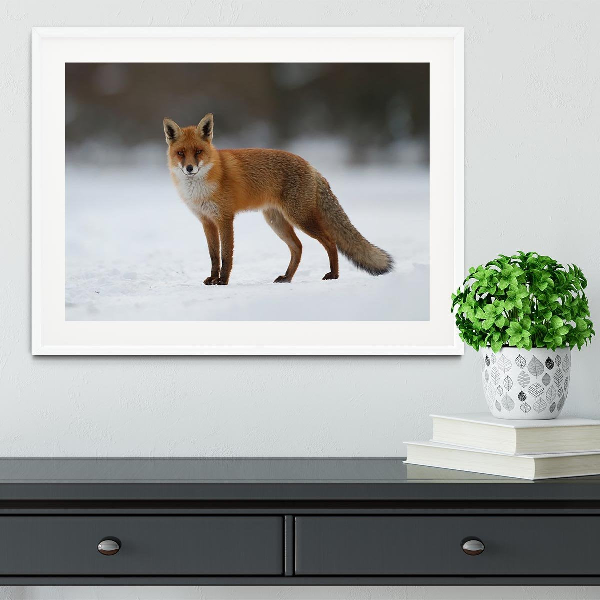 Red fox in the snow Framed Print - Canvas Art Rocks - 5