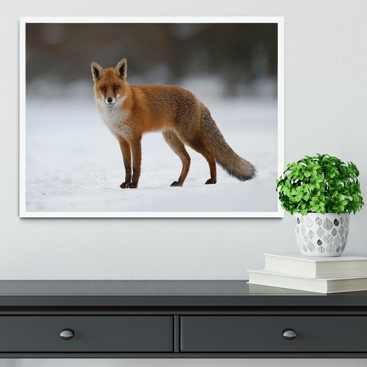 Red fox in the snow Framed Print - Canvas Art Rocks -6