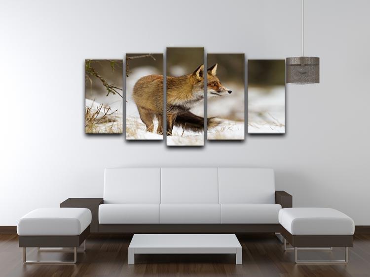 Red fox in wintertime 5 Split Panel Canvas - Canvas Art Rocks - 3