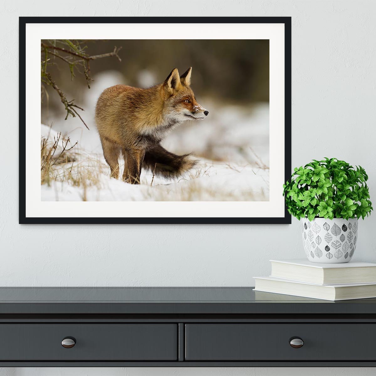 Red fox in wintertime Framed Print - Canvas Art Rocks - 1