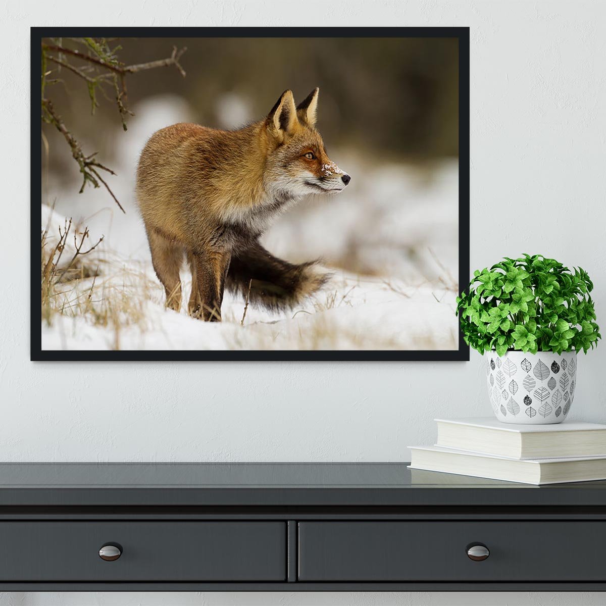 Red fox in wintertime Framed Print - Canvas Art Rocks - 2