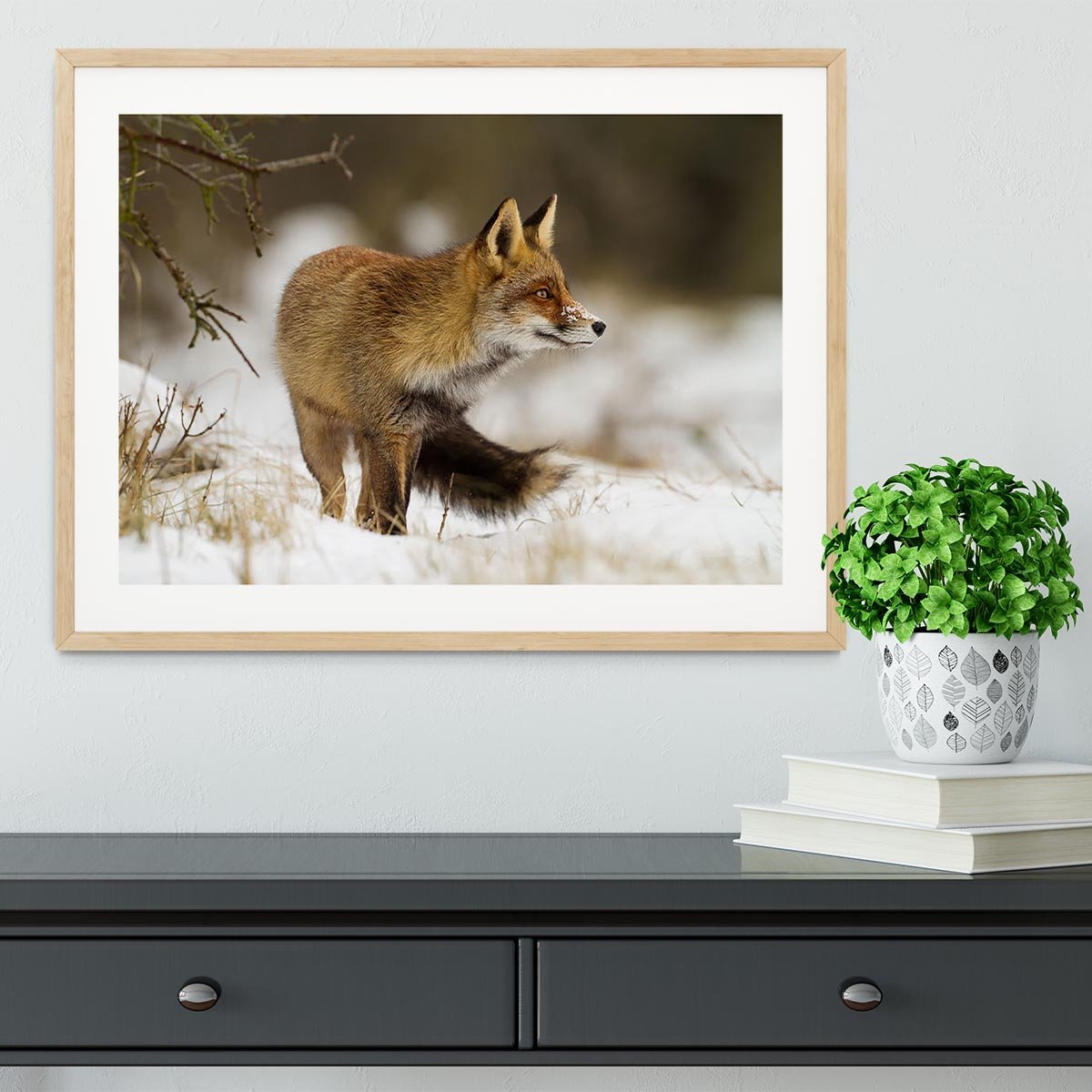 Red fox in wintertime Framed Print - Canvas Art Rocks - 3