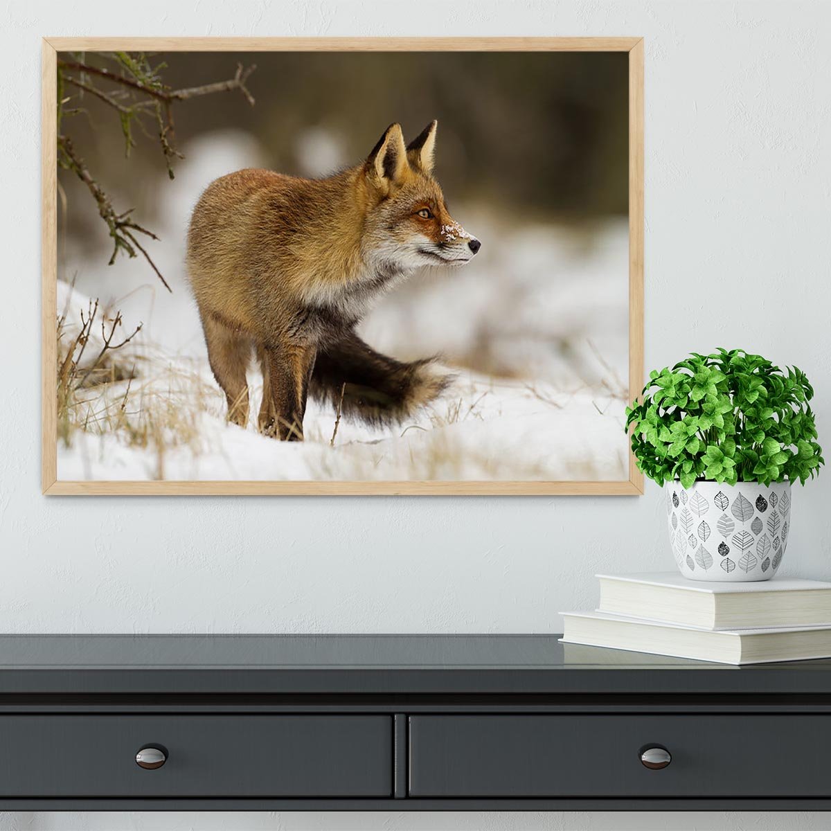 Red fox in wintertime Framed Print - Canvas Art Rocks - 4
