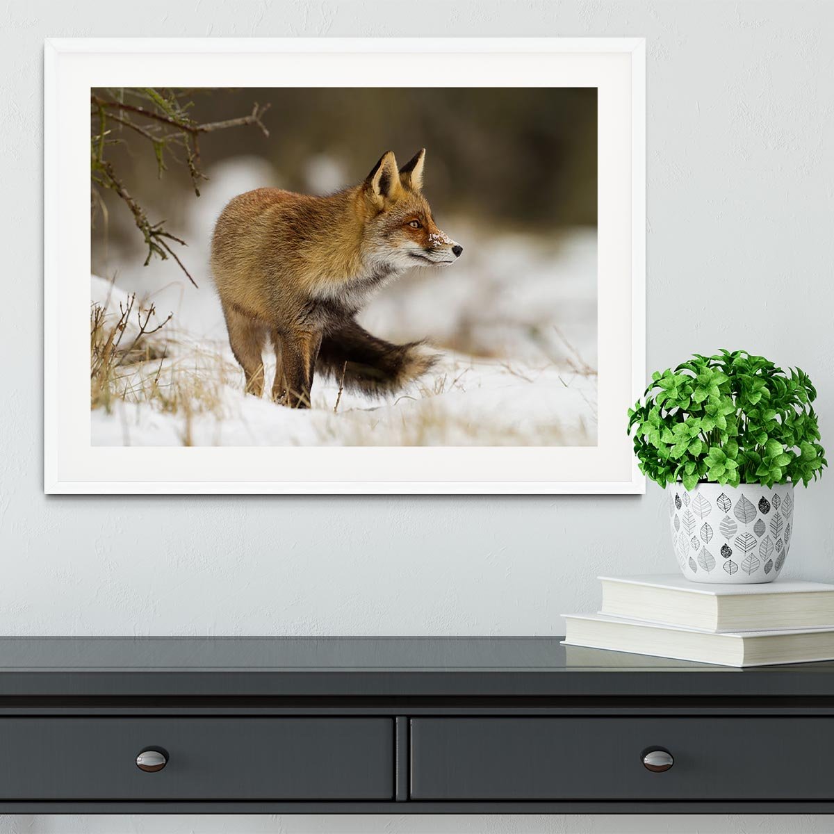 Red fox in wintertime Framed Print - Canvas Art Rocks - 5