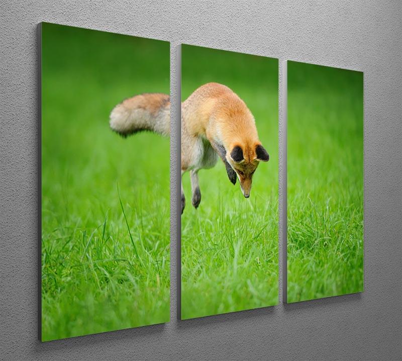 Red fox on hunt 3 Split Panel Canvas Print - Canvas Art Rocks - 2