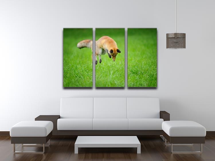Red fox on hunt 3 Split Panel Canvas Print - Canvas Art Rocks - 3