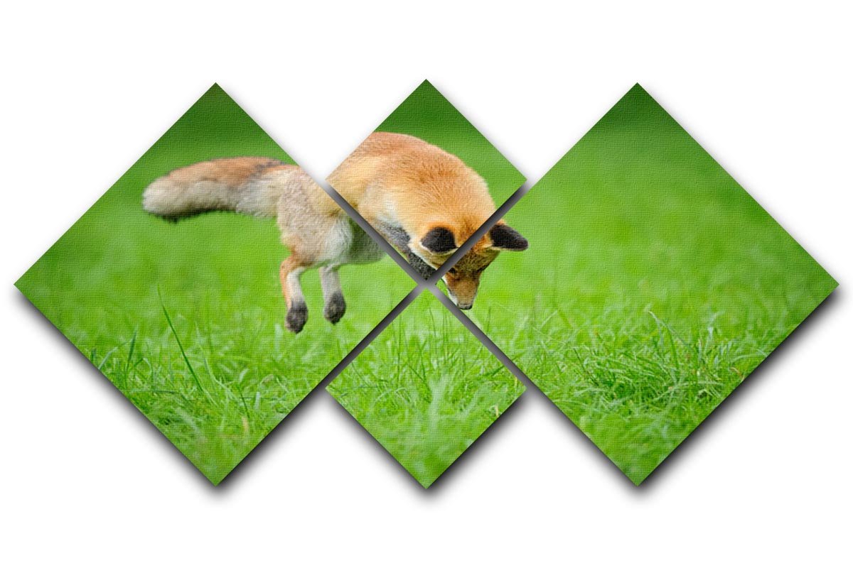 Red fox on hunt 4 Square Multi Panel Canvas - Canvas Art Rocks - 1
