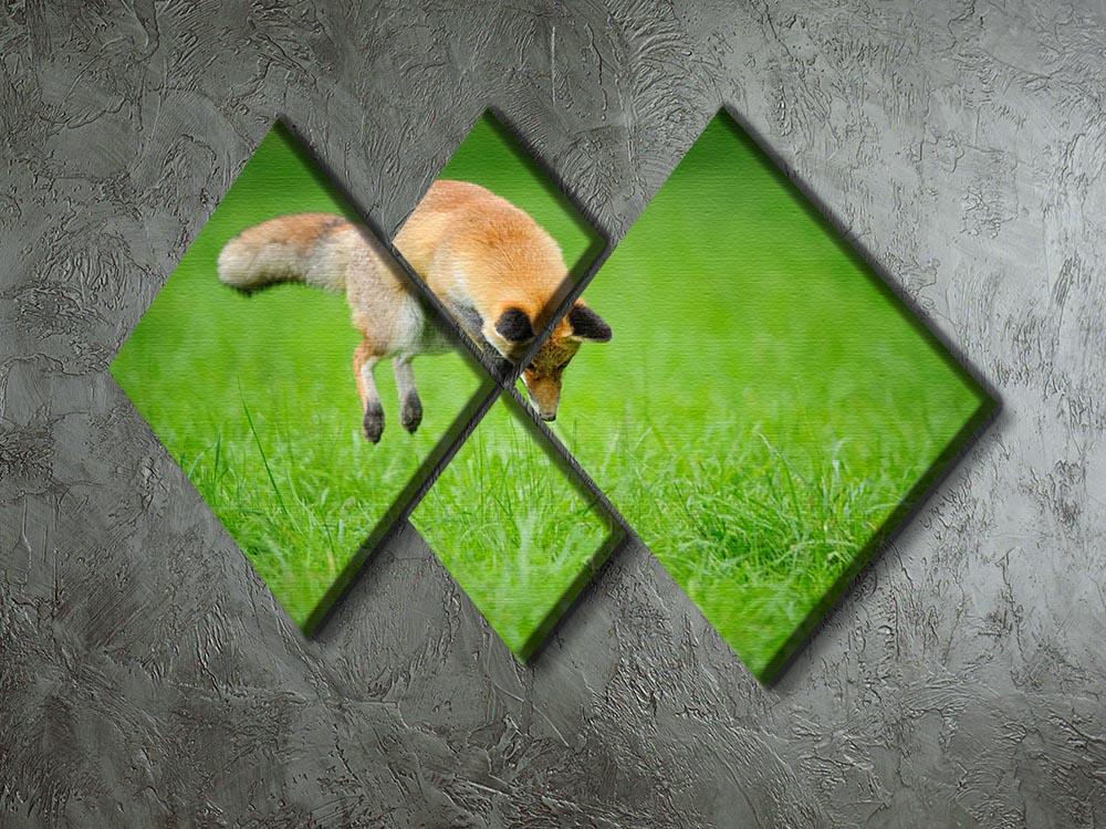 Red fox on hunt 4 Square Multi Panel Canvas - Canvas Art Rocks - 2