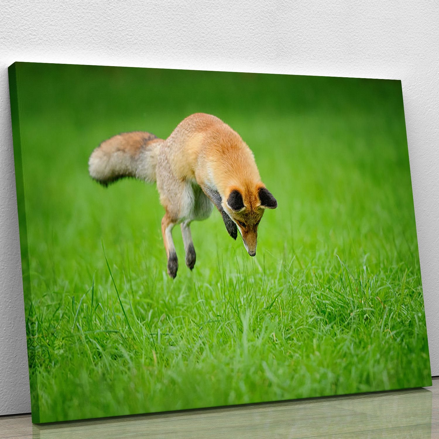 Red fox on hunt Canvas Print or Poster
