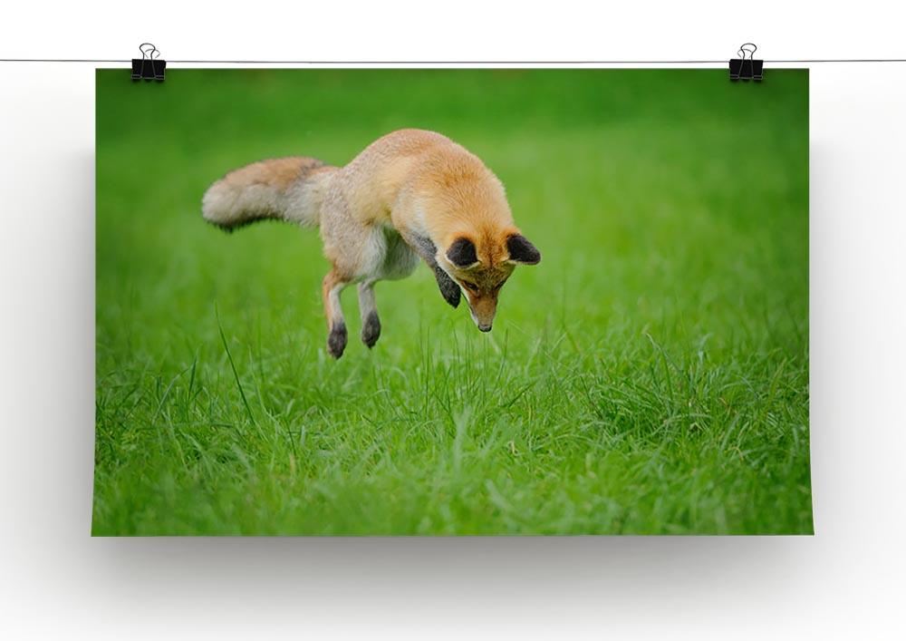 Red fox on hunt Canvas Print or Poster - Canvas Art Rocks - 2