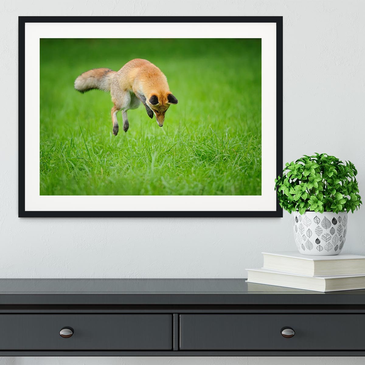 Red fox on hunt Framed Print - Canvas Art Rocks - 1