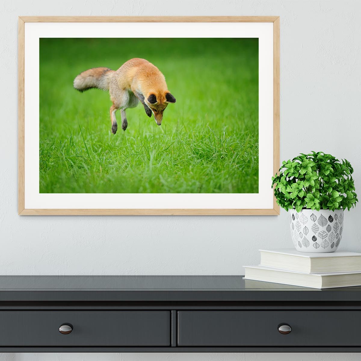 Red fox on hunt Framed Print - Canvas Art Rocks - 3