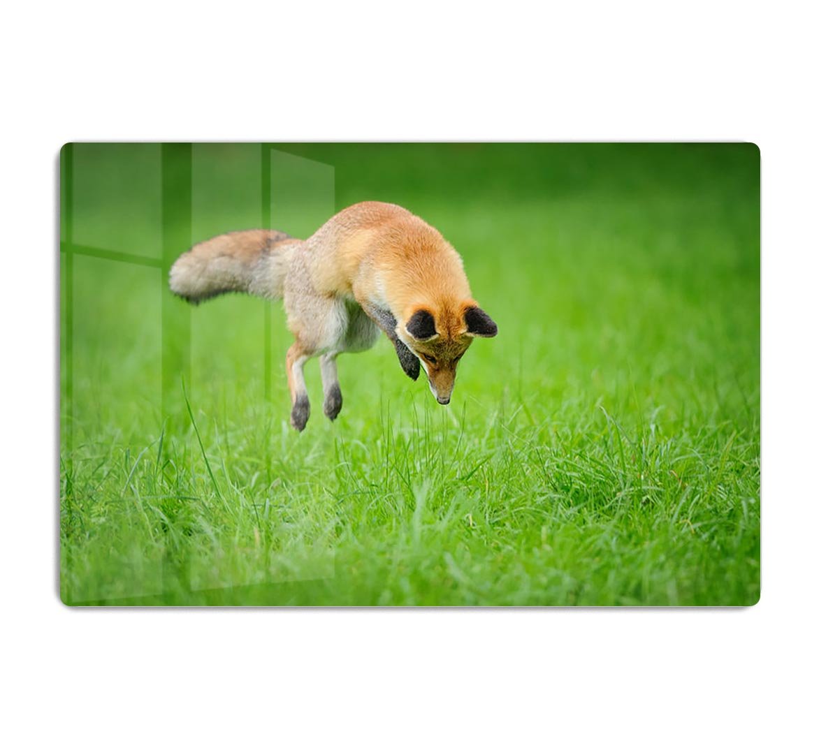 Red fox on hunt HD Metal Print - Canvas Art Rocks - 1