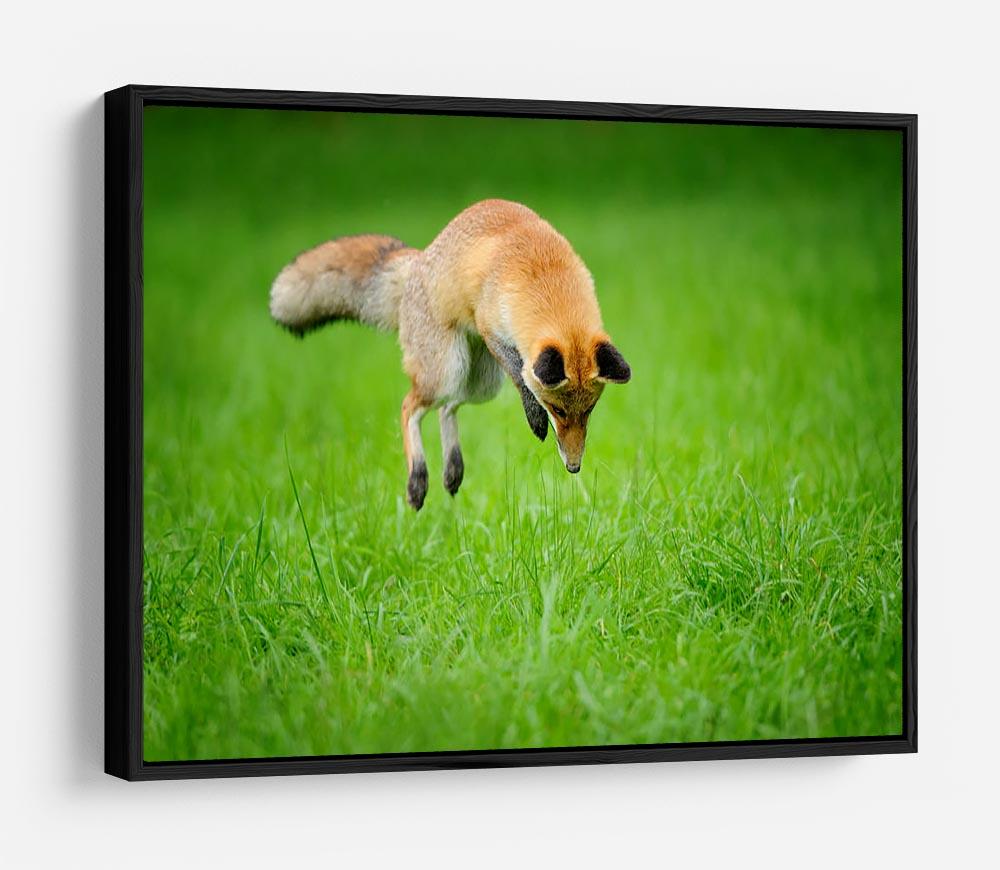 Red fox on hunt HD Metal Print - Canvas Art Rocks - 6