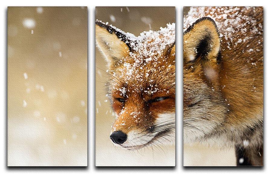 Red fox winter portrait 3 Split Panel Canvas Print - Canvas Art Rocks - 1