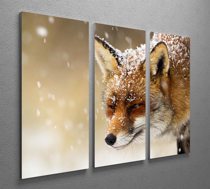 Red fox winter portrait 3 Split Panel Canvas Print - Canvas Art Rocks - 2